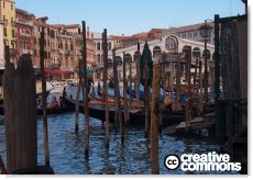 autori/Flickr/pollobarca/1874002031_5f6383ab1d_b